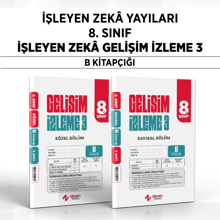 İŞLEYEN 08.SINIF GELİŞİM İZ.(GİS) SY/SZ 3-B -25-26